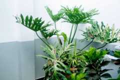 24102c77-bd90-4add-bf87-c722103446e8