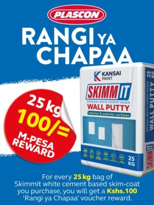 IMG-20250121-WA0064 Plascon Skimmit Filler - Paintsoko